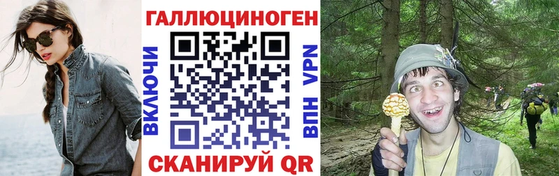 Купить где  Апрелевка  Псилоцибиновые грибы мицелий 